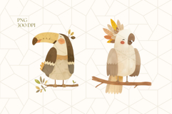 Jungle Birds Clipart PNG Product Image 3