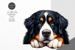 Bernese Mountain clipart, Dog clipart, Animals clipart Product Image 1