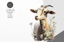 Animals clipart, Goat clipart, Daisies clipart Product Image 1