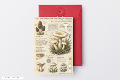 Ephemera Mushrooms Junk Journal Pages - Junk Journal Pack Product Image 6