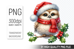 Christmas Owl Clipart PNG, Festive Owl illustration Product Image 1