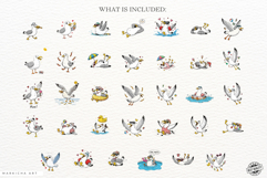 Summer Seagull Clipart Product Image 4