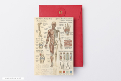 Ephemera Anatomy Junk Journal Pages Product Image 6