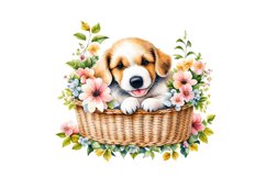 Watercolor Puppy Sitting in Basket Spring Clipart Sublimatio Product Image 1