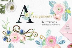 Buttercups. Ranunculus soft pink. Product Image 9