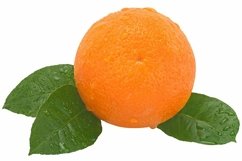 Stock Photo - Ripe orange on a white background. Product Image 1