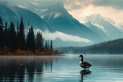 Serene lake landscape with lone goose Product Image 1