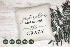 Farmhouse Pillow SVG | Just Relax and Accept the Crazy SVG Product Image 1