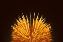 Blending_Flower_Illustration_01 Product Image 5