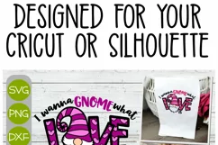 I Wanna Gnome What Love is - A Valentines Layered Cricut SVG Product Image 3