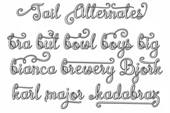 Brazilian Script (LAYERED FONT) - Free Font of The Week Product Image 3