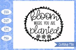 Bloom where you are planted SVG File Product Image 1