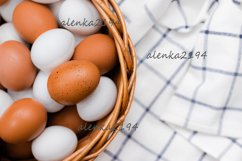 Chicken Eggs Series Product Image 5