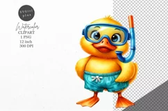 Duckling clipart, Animals clipart, Summer clipart Product Image 1