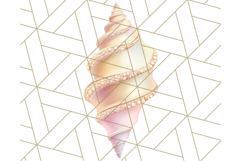 Natural Seashell Clipart PNG, Summer Nautical Beach Shell Product Image 5