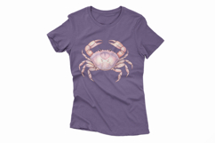 Cute Ocean Crab Pink Marine Animal Pincer PNG Summer Product Image 4
