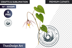 Flower Clipart PNG, Botanical Illustration Floral graphic Product Image 1