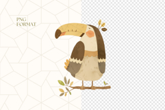 Jungle Birds Clipart PNG Product Image 4