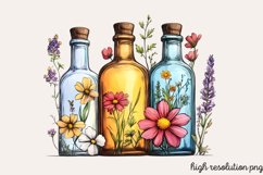 Summer Decorations Clipart PNG Product Image 1