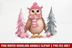 Pink Winter Woodland Animals Clipart PNG Product Image 1