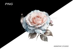 Blue and Rose gold FlowersPNG, Bouquet PNG Product Image 1