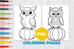 Owl on a pumpkin Coloring Pages | Coloring book Product Image 1