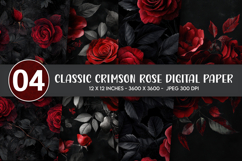 Classic Crimson Rose Digital Paper Product Image 1