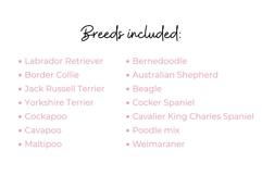 21 Different Dog Breeds with Birthday Cakes Watercolor Clipa Product Image 2