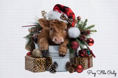 Christmas Highland Cows In Bucket Clipart PNG Product Image 1