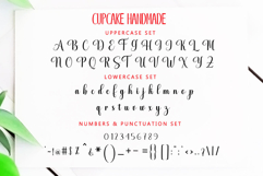 Cupcake Handmade - Font Duo In 100 Type Font Family Product Image 6