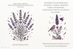 Summer Lavender Meadow Clipart Product Image 2