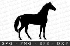 Horse SVG | SVG Cut files | Cricut Product Image 1