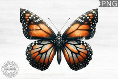Halloween Butterfly Clipart - Halloween Sublimation PNG Product Image 1