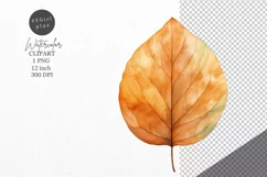 Autumn clipart, Autumn leaf clipart, Fall clipart Product Image 1