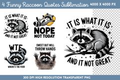Funny Raccoon Quotes Sublimation PNG Product Image 1