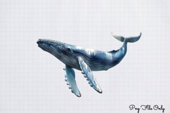 Whales Clipart design PNG Product Image 1