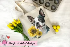 Boston Terrier Dog with Sunflower png, Sublimation design Product Image 4