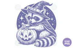 Vintage Funny Sarcastic Feral Witch Raccoon Halloween PNG Product Image 1