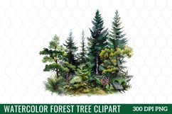 Watercolor Forest Tree Clipart Product Image 1
