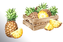 Tropical Pineapple Product Image 26