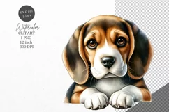 Beagle clipart, Dog clipart, Animals clipart Product Image 1