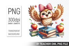 Teacher Owl Clipart PNG, Cute Owl, Digital Download File Product Image 1