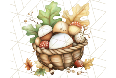 Whimsical Woodland Animals and Nature PNG, Forest Animals Product Image 5