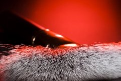 professional decorative cosmetics Product Image 1
