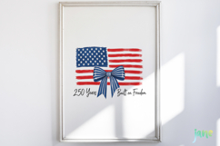 250th America Anniversary Bundle Product Image 7