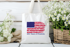 America 250th Anniversary SVG Files Pack, 4th of July SVG Product Image 4
