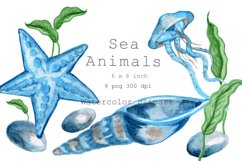 Watercolor Clipart Sea Animals Blue jellyfish, sea shell . Product Image 1