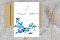 Watercolor Clipart Sea Animals Blue jellyfish, sea shell . Product Image 5