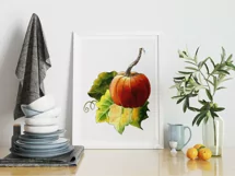 Pumpkin clipart | PNG for sublmation Product Image 4