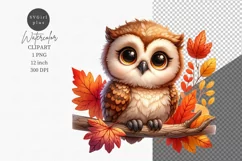 Cute Animals Clipart, Owl clipart, Autumn clipart Product Image 1